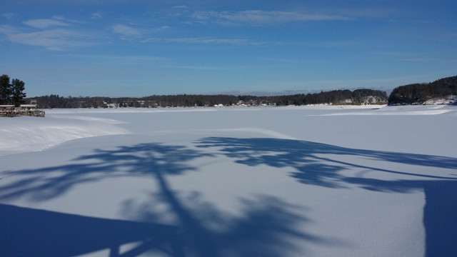 Winter Shadows on Snow